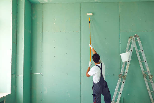 Dehumidification Services in North Miami, FL