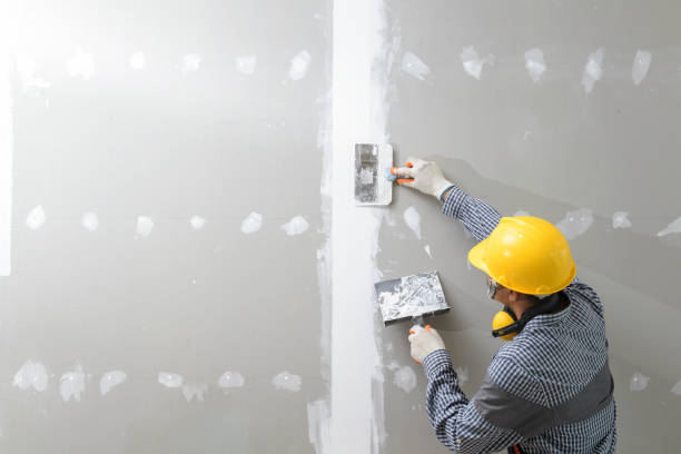 Best Mold-Related Health Consultation  in North Miami, FL