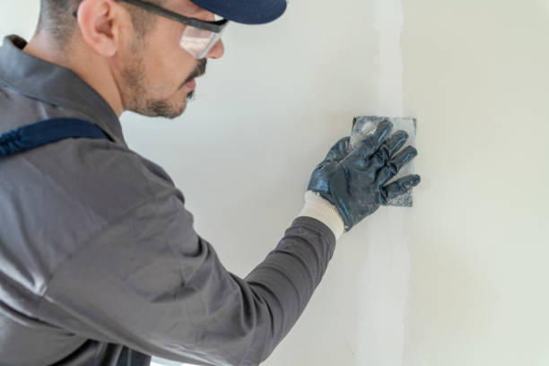 Mold Remediation for Rental Properties in North Miami, FL