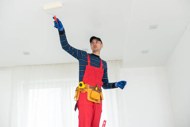 Best Mold Odor Removal Services  in North Miami, FL