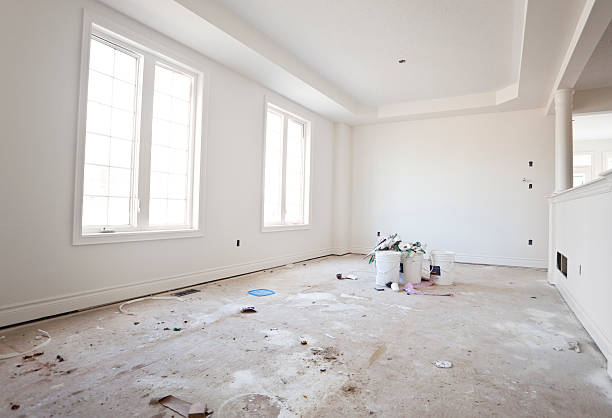 Professional Mold Removal in North Miami, FL