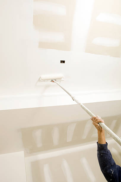 Best Environmental Consulting for Mold Prevention  in North Miami, FL